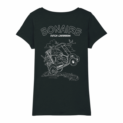 SWAKiKO flag T-shirt, anthracite, men