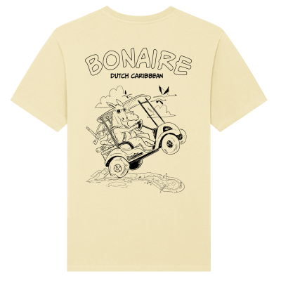SWAKiKO flag T-shirt, anthracite, men