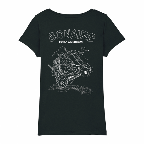 SWAKiKO flag T-shirt, anthracite, men