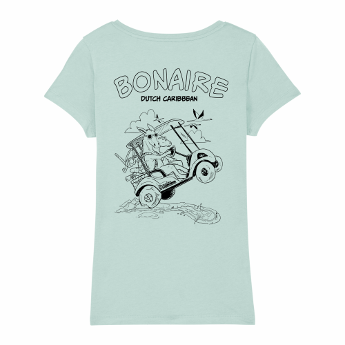 Bonaire Cruisers