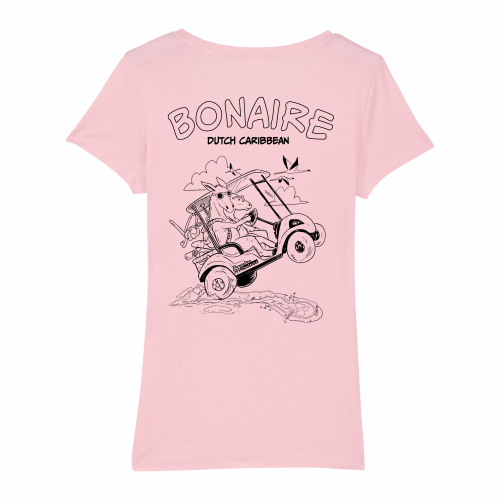Bonaire Cruisers