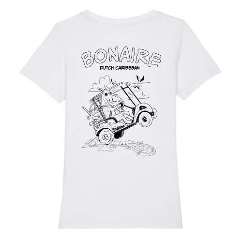 Bonaire Cruisers